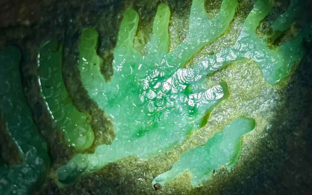 Does jade nurture the person, or does jadeite nurture the heart?